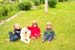 swedish_vacation658