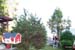 swedish_vacation786