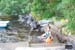 swedish_vacation787