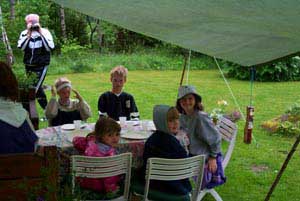 swedish_vacation630