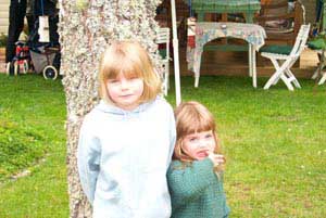 swedish_vacation660