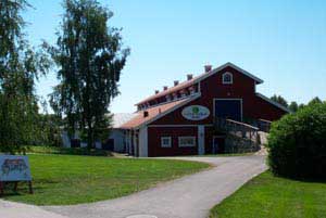 swedish_vacation675