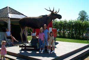 swedish_vacation676
