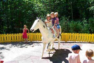 swedish_vacation690