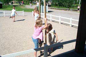 swedish_vacation697