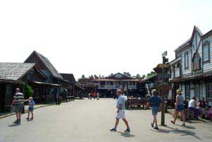 swedish_vacation701