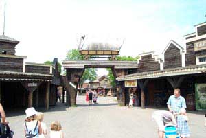 swedish_vacation703