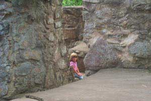 swedish_vacation722