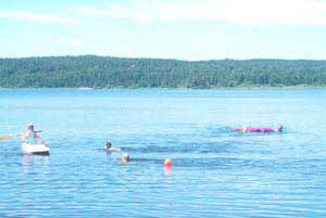 swedish_vacation754