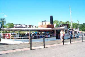 swedish_vacation766