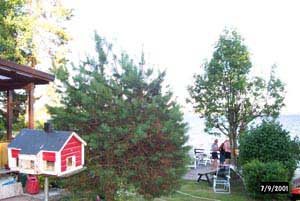 swedish_vacation786
