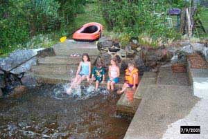 swedish_vacation788